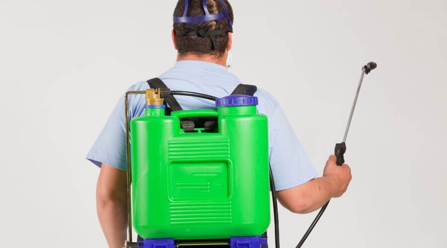 Why choose Coquille Monthly Pest Prevention Plans for monthly pest prevention plans in Coquille